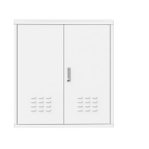 Outdoor Smart Cabinet - X4